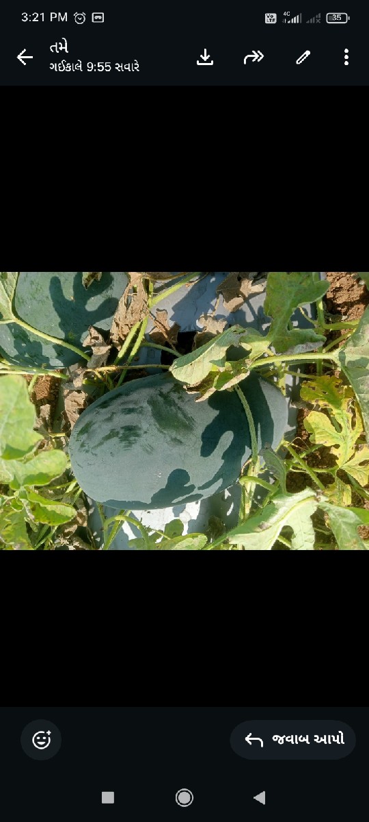 Post Image 2
