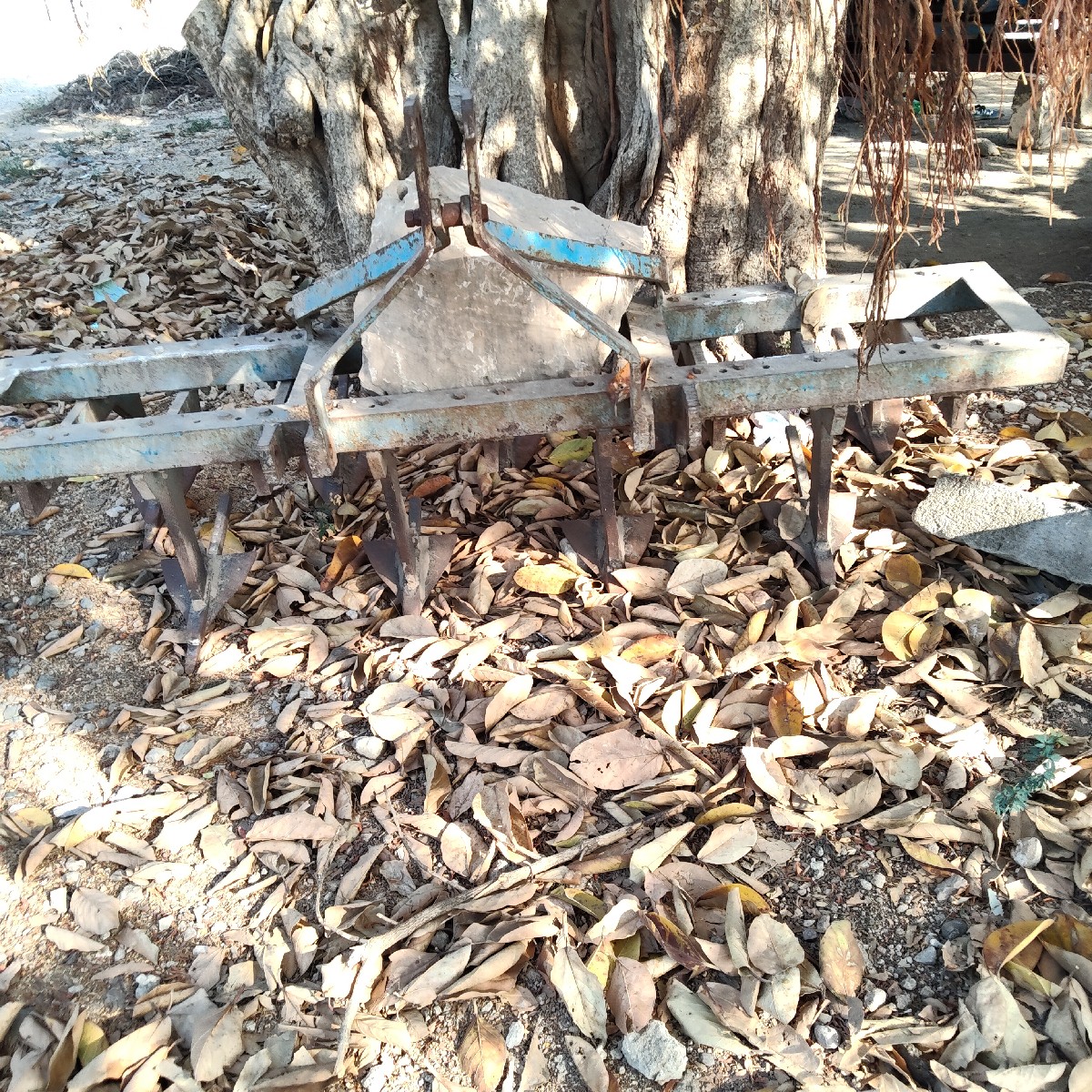 Post Image 3
