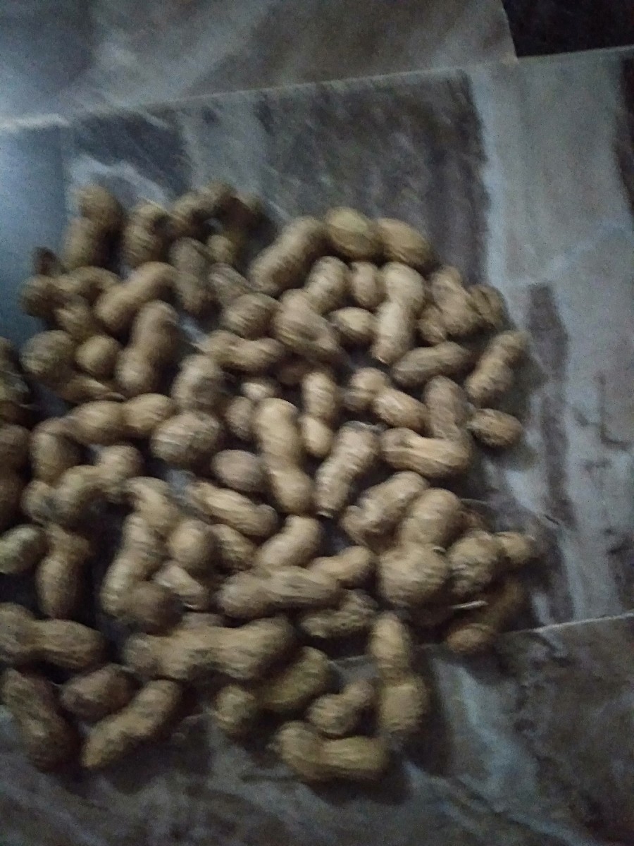 Post Image 3