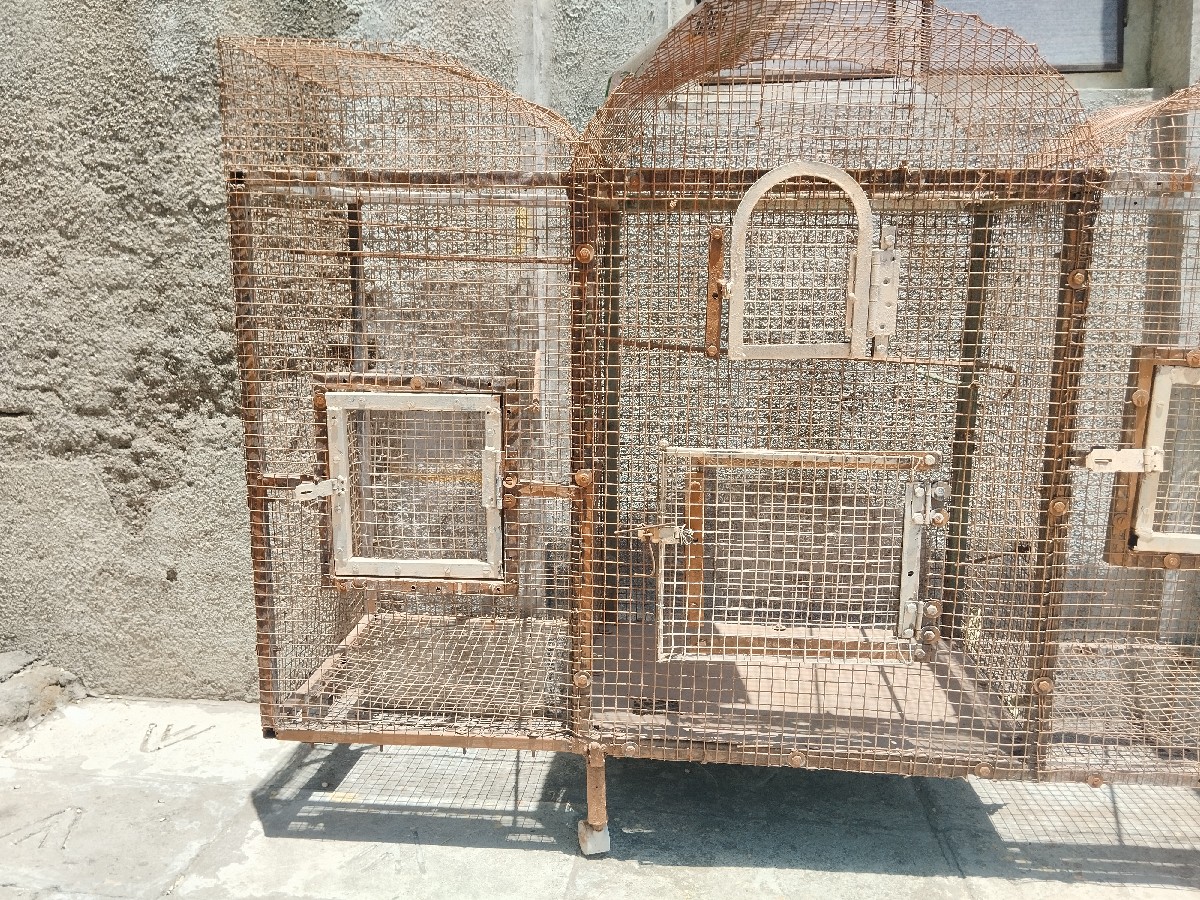 Post Image 2