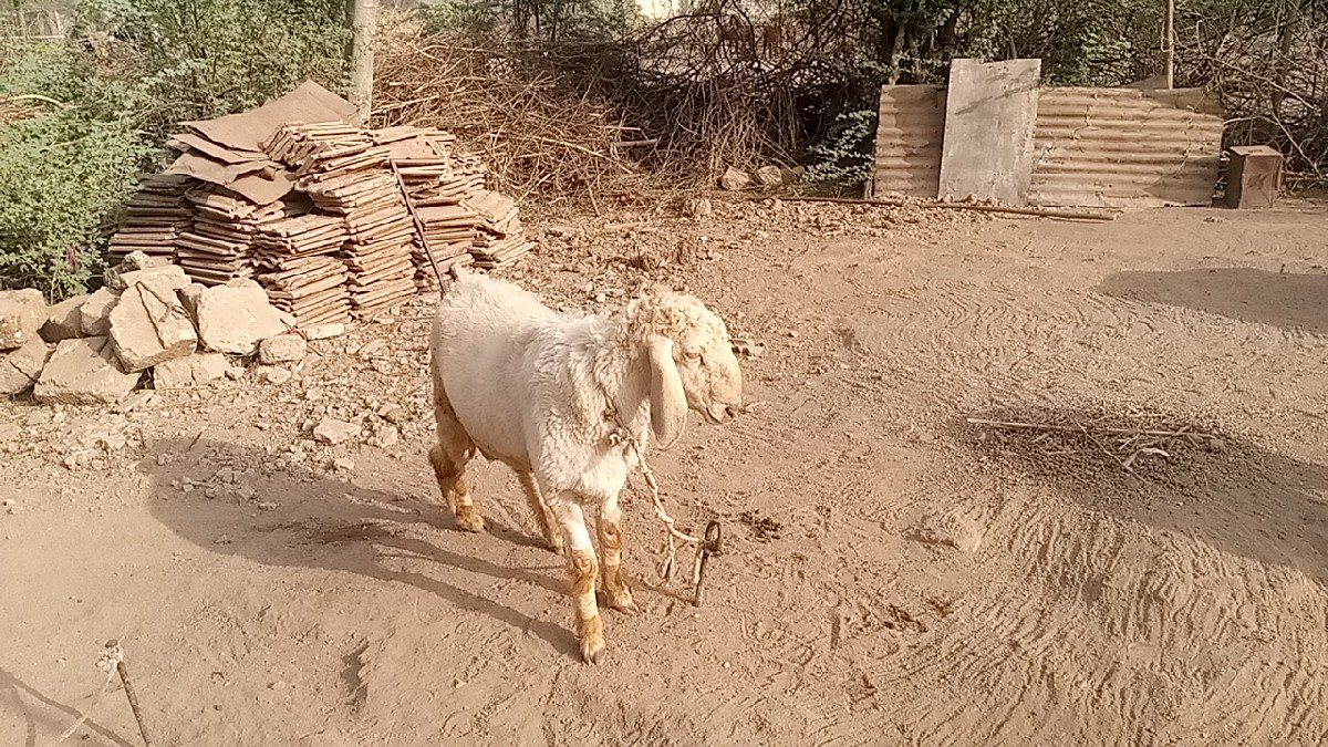 Post Image 2