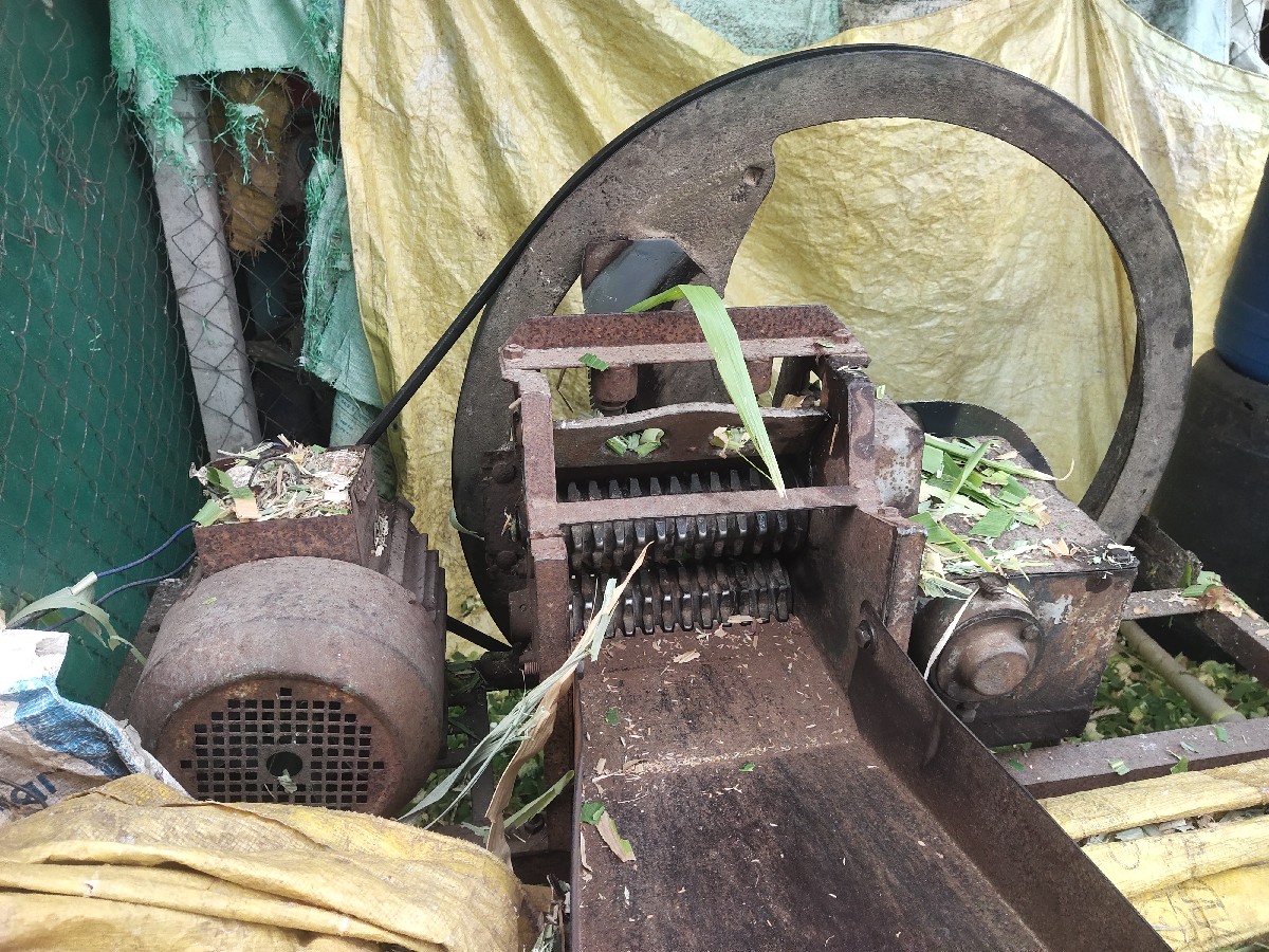 Post Image 4