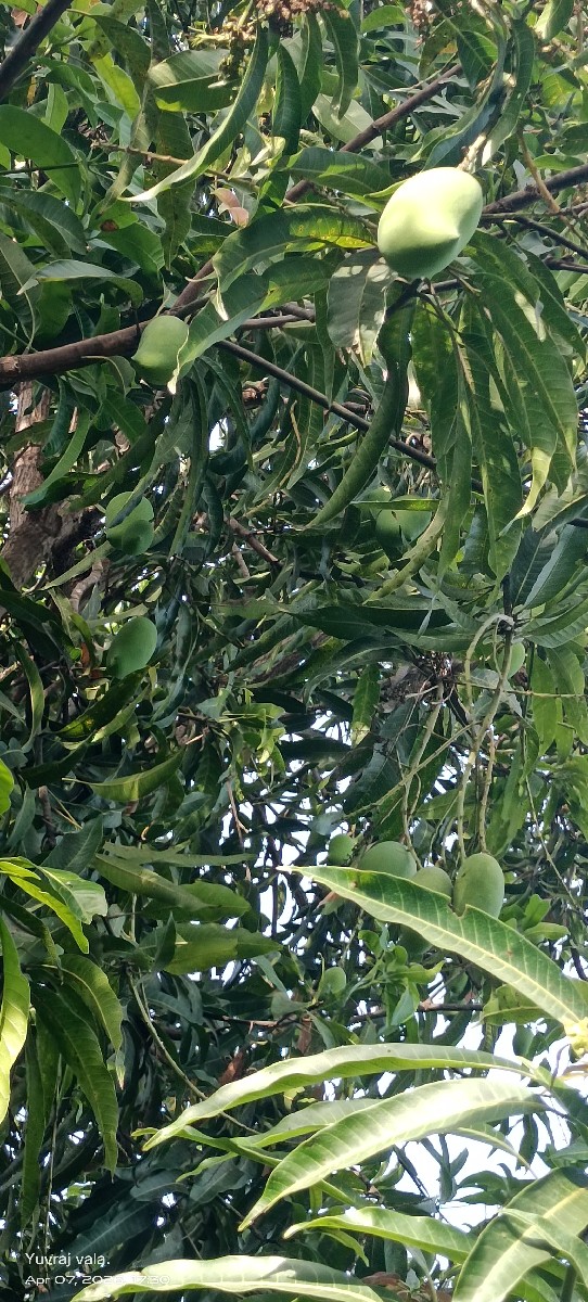 Post Image 3