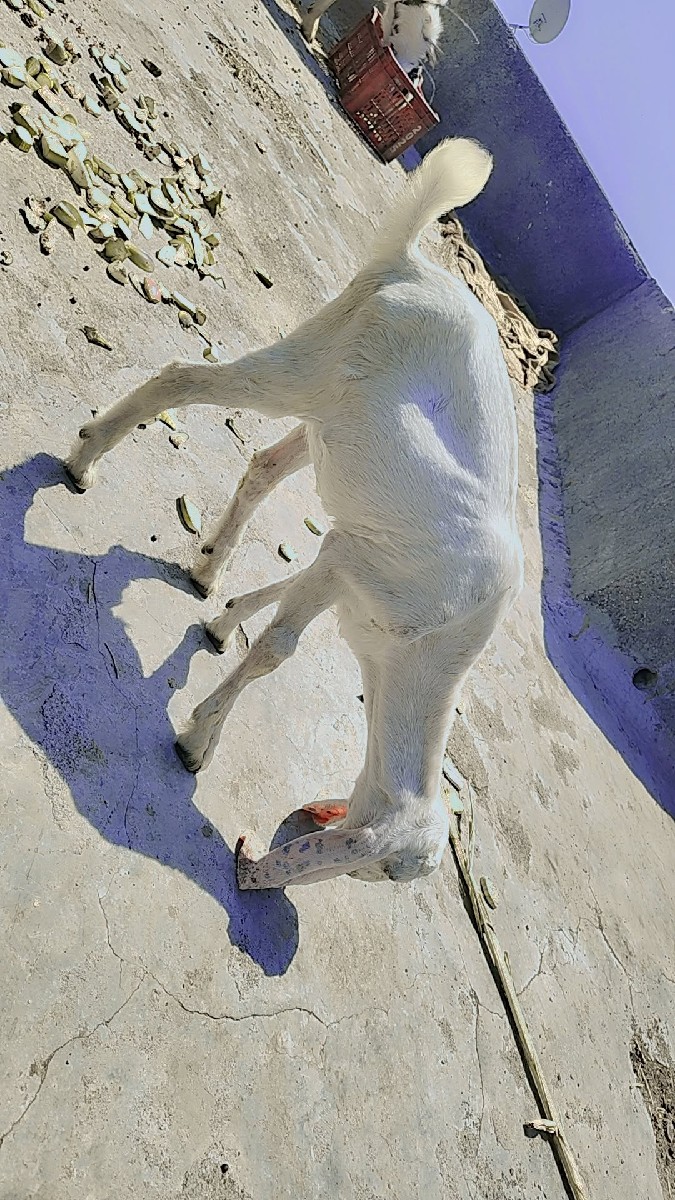 Post Image 2