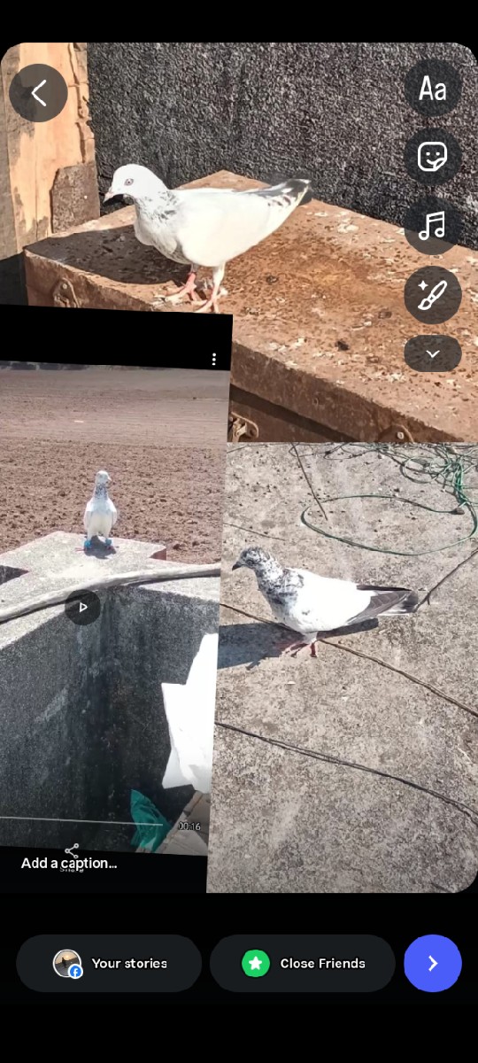 Post Image 1