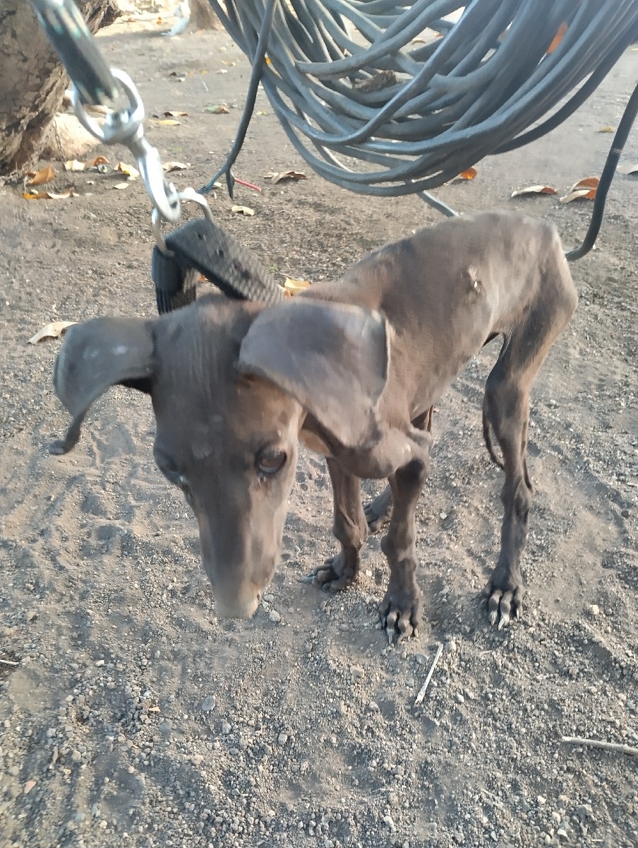 Post Image 3