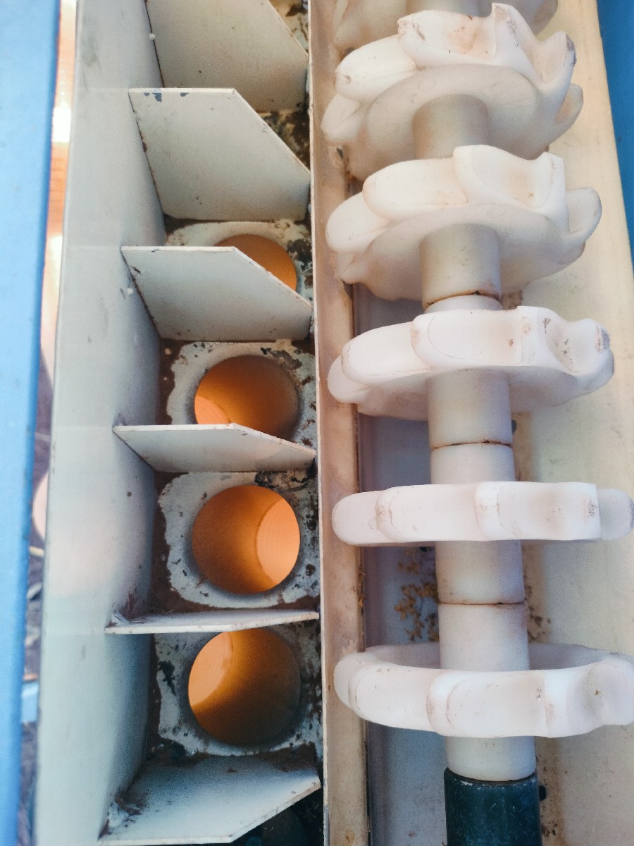 Post Image 2