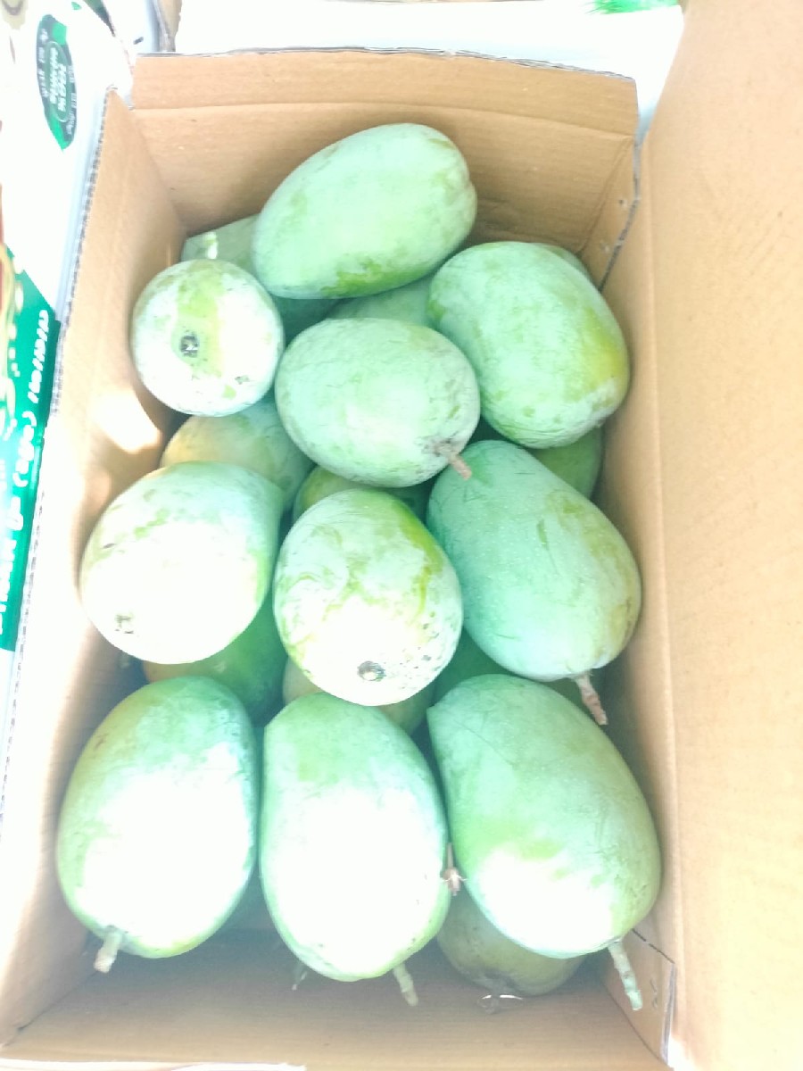 Post Image 2