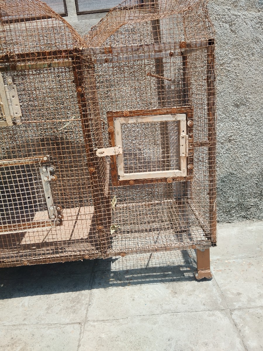 Post Image 3