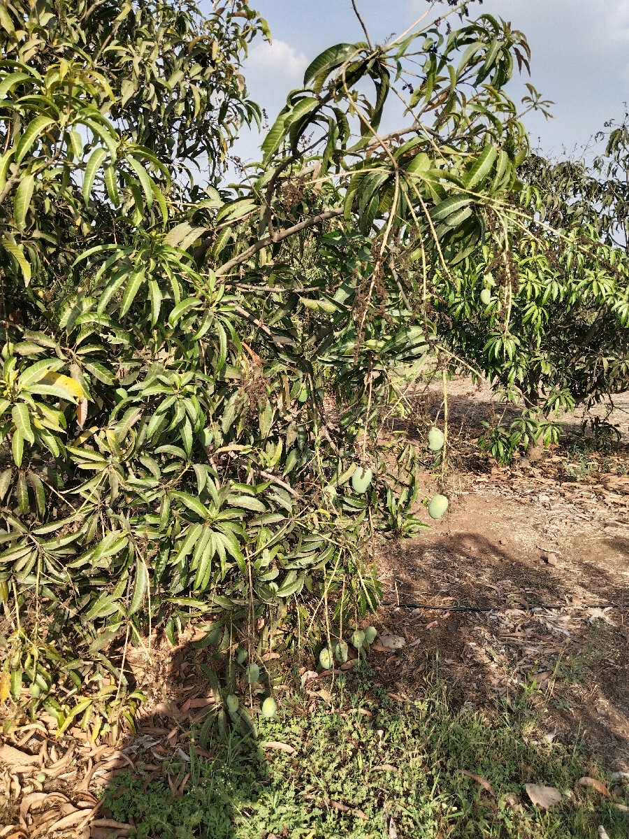 Post Image 2