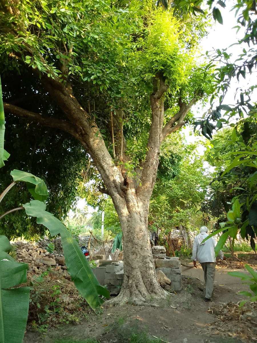 Post Image 2