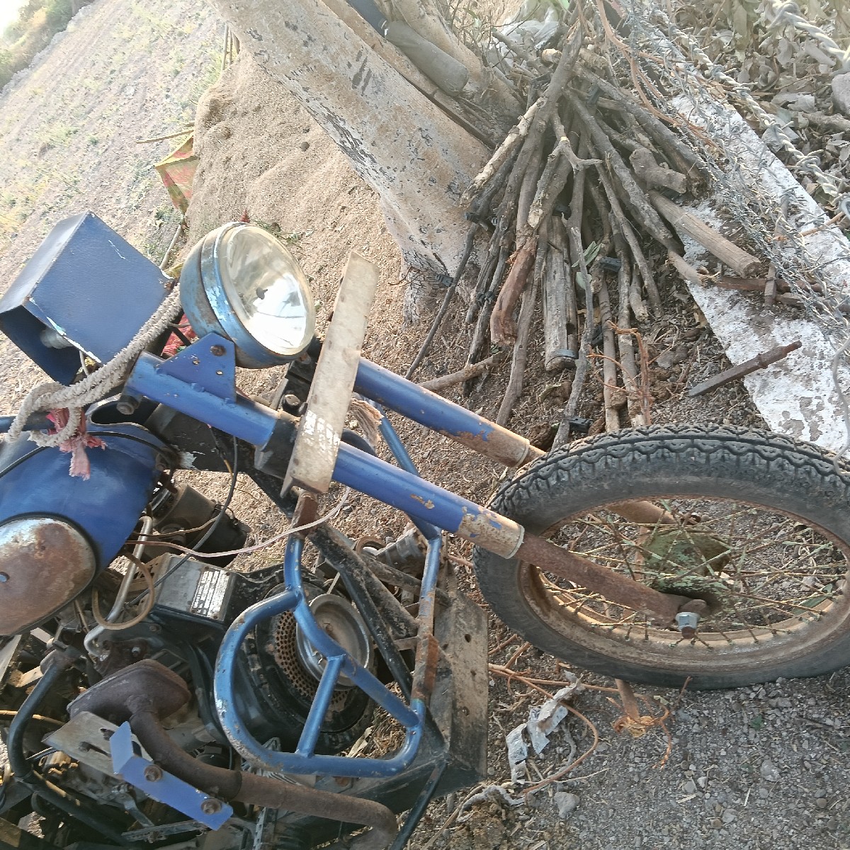 Post Image 3