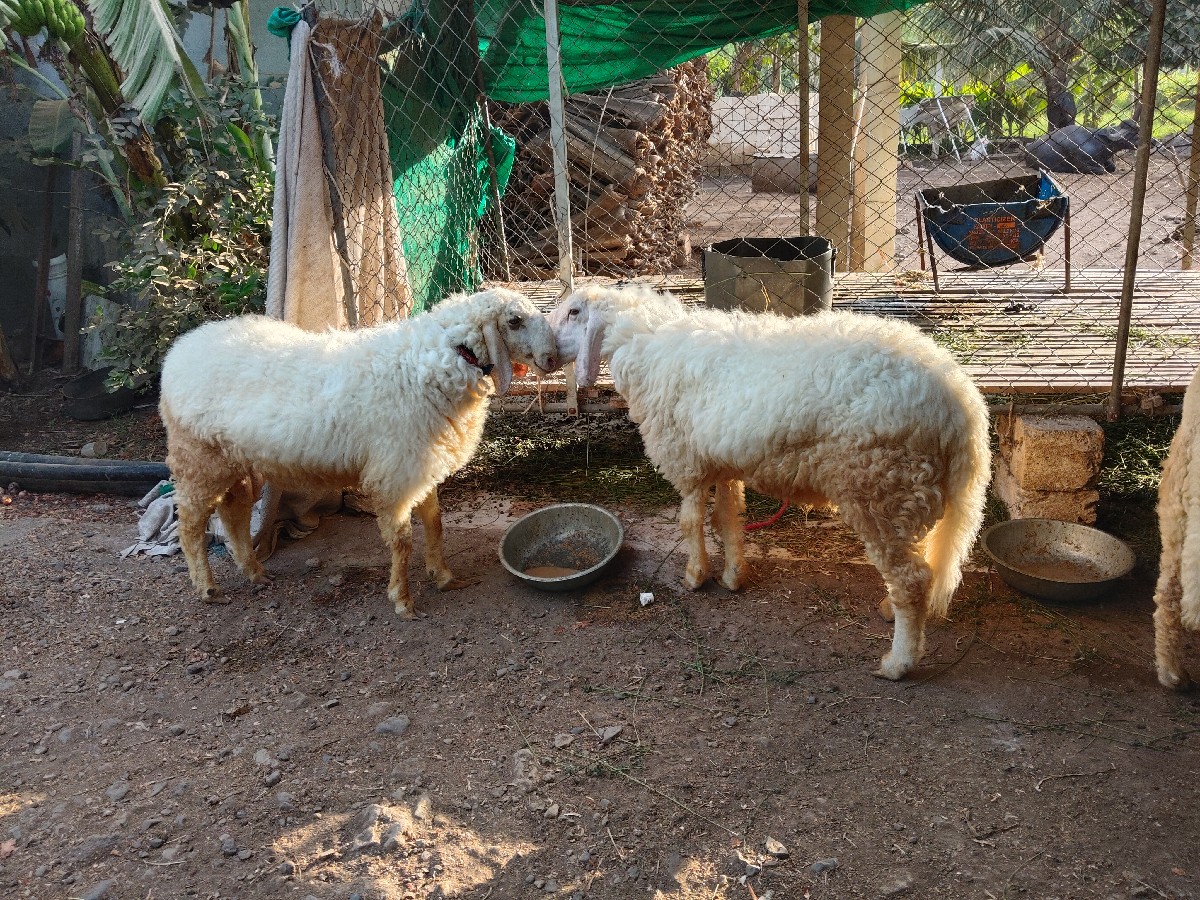 Post Image 2
