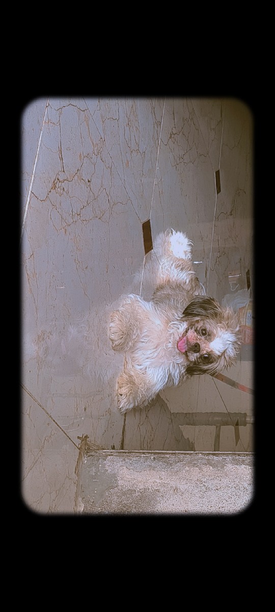 Post Image 2