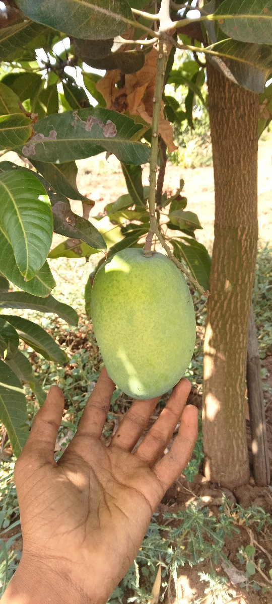 Post Image 2