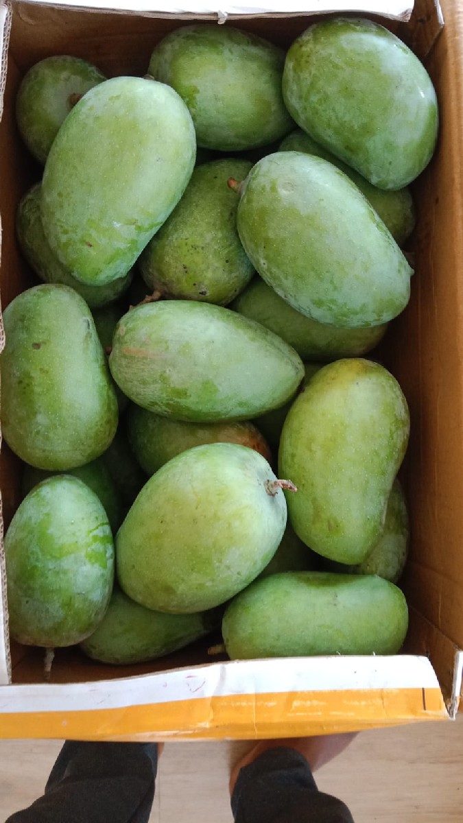 Post Image 2