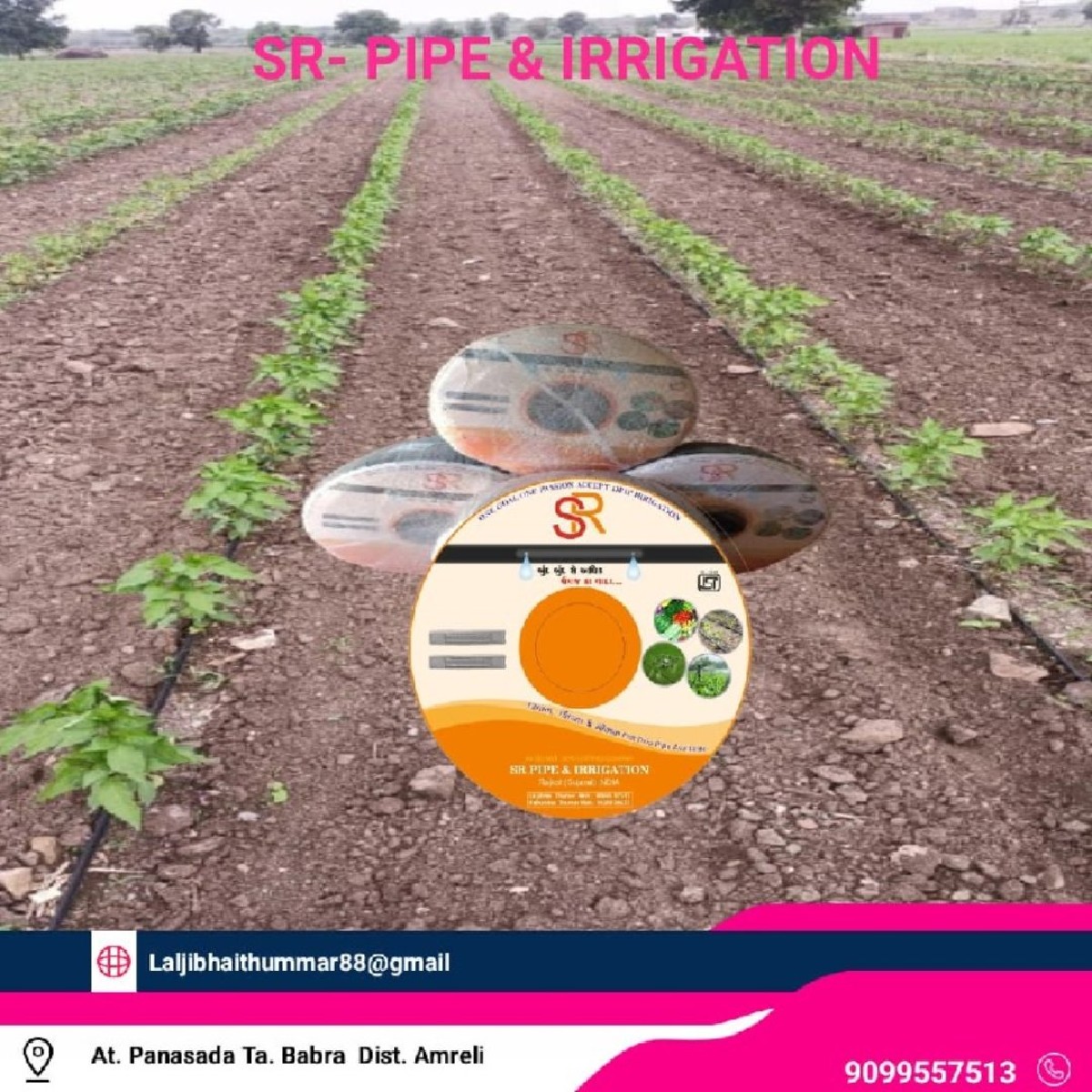 Post Image 5