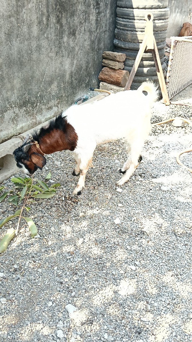 Post Image 2