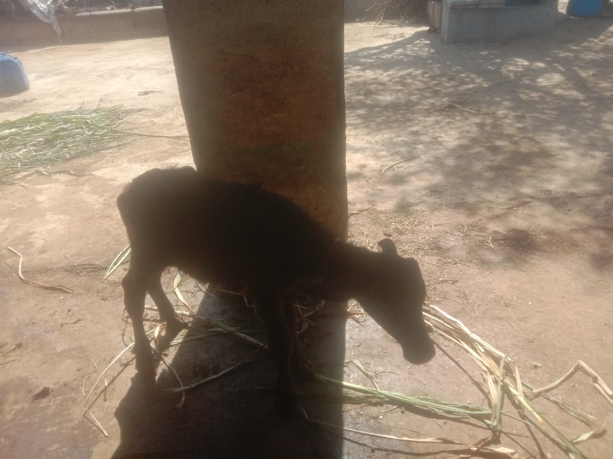 Post Image 3