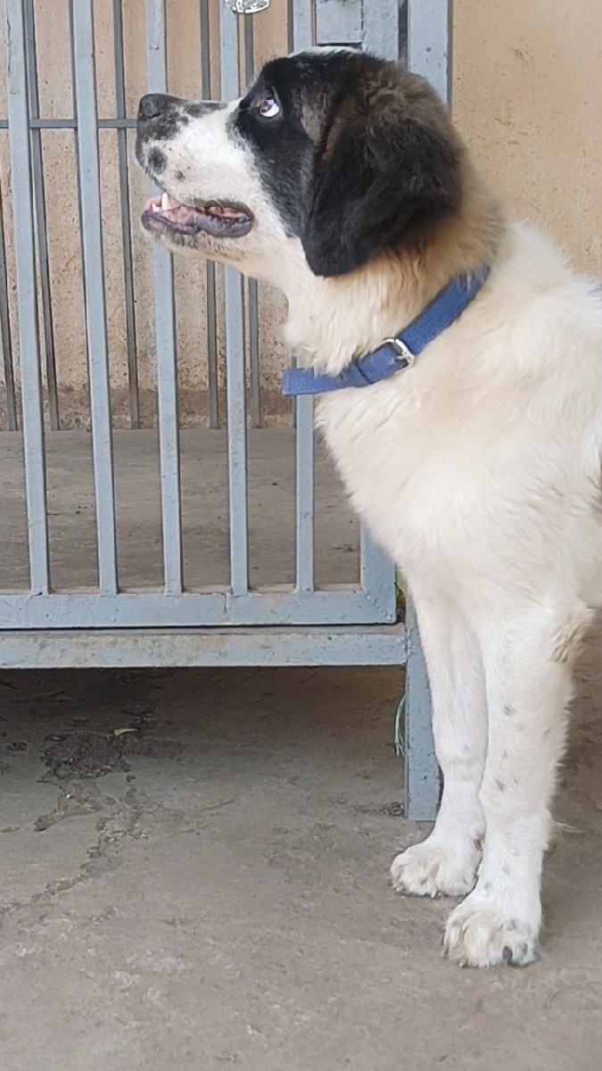 Post Image 3