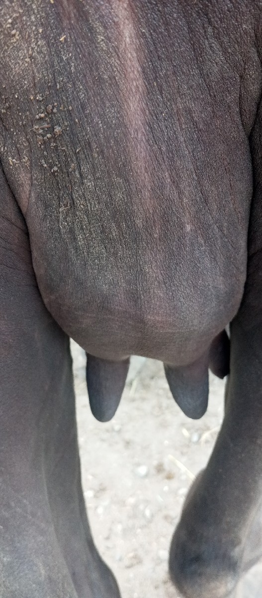 Post Image 6