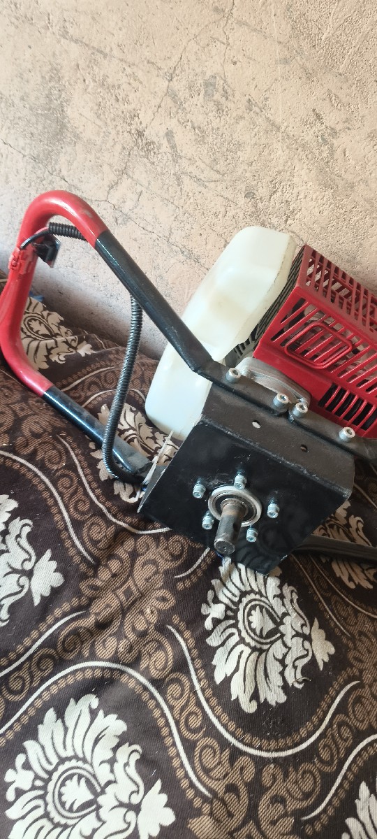 Post Image 3