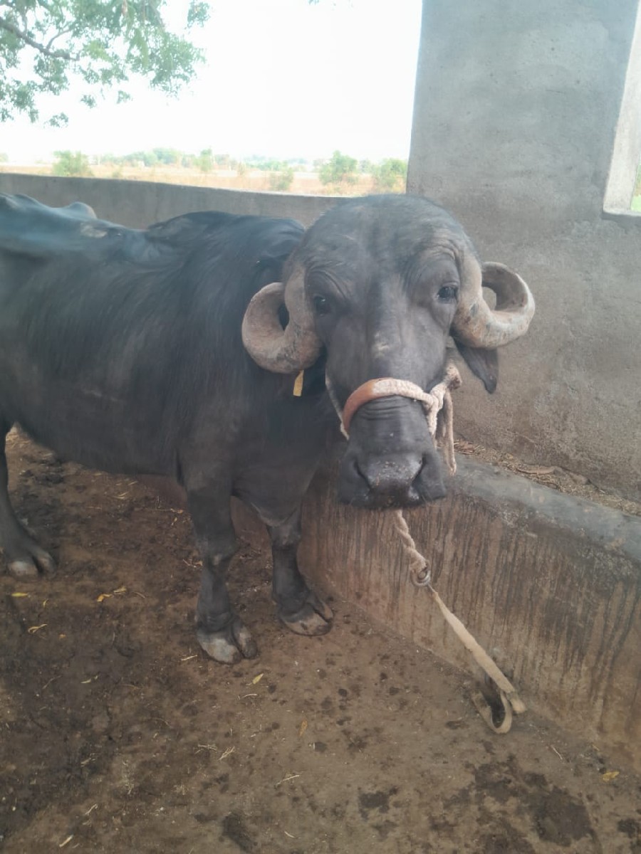 Post Image 2
