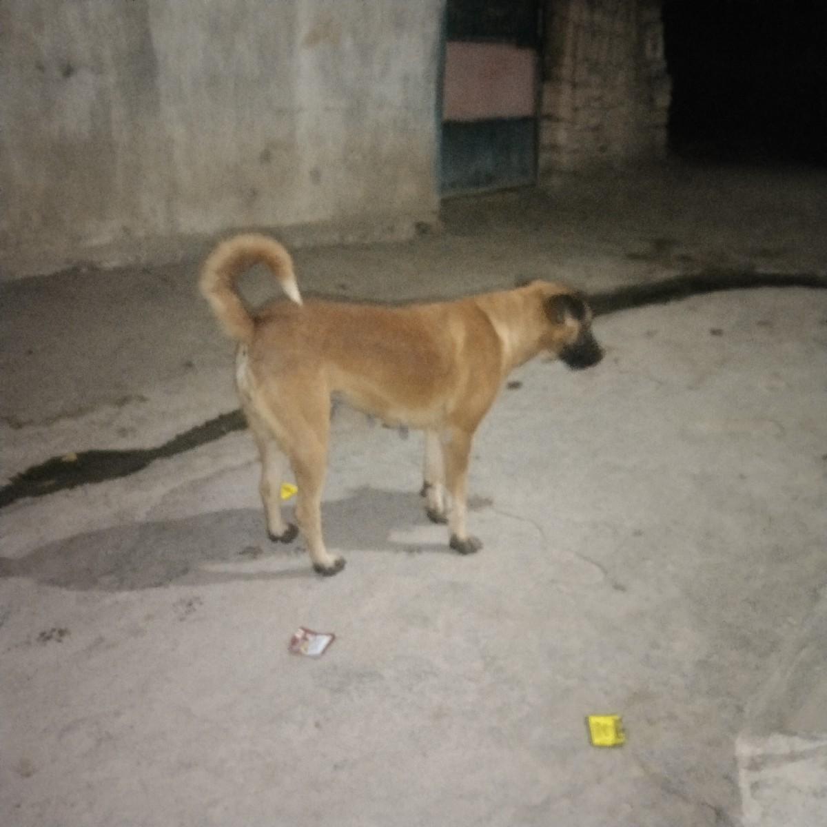 Post Image 2