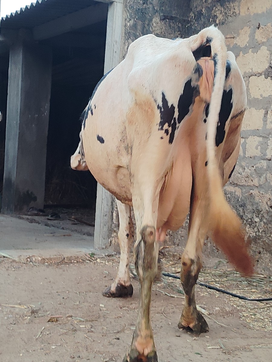 Post Image 1
