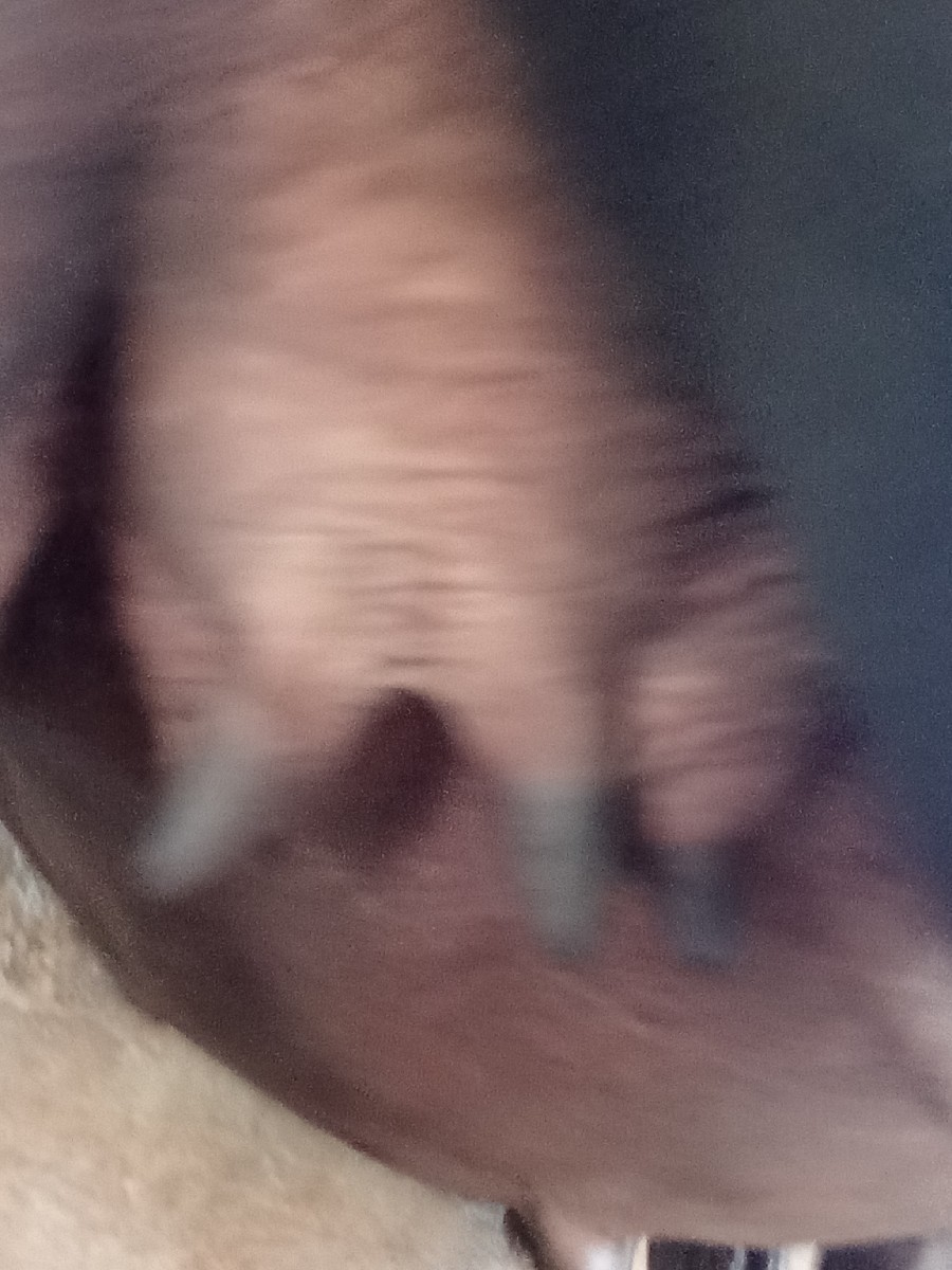 Post Image 2