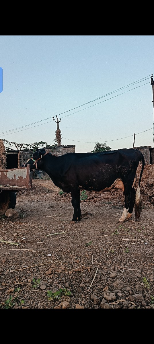 Post Image 3