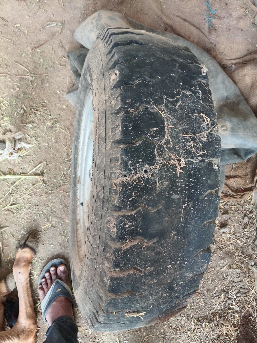 Post Image 3