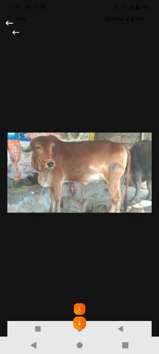 Post Image 3