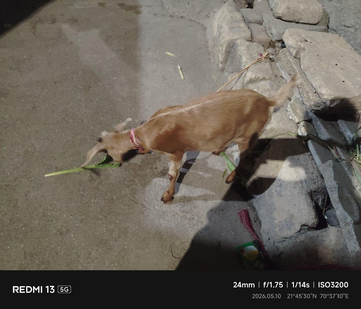 Post Image 1