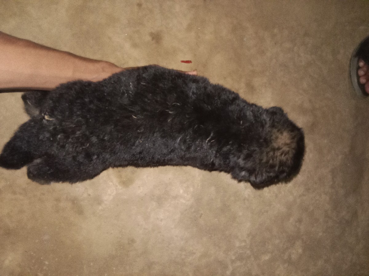 Post Image 1
