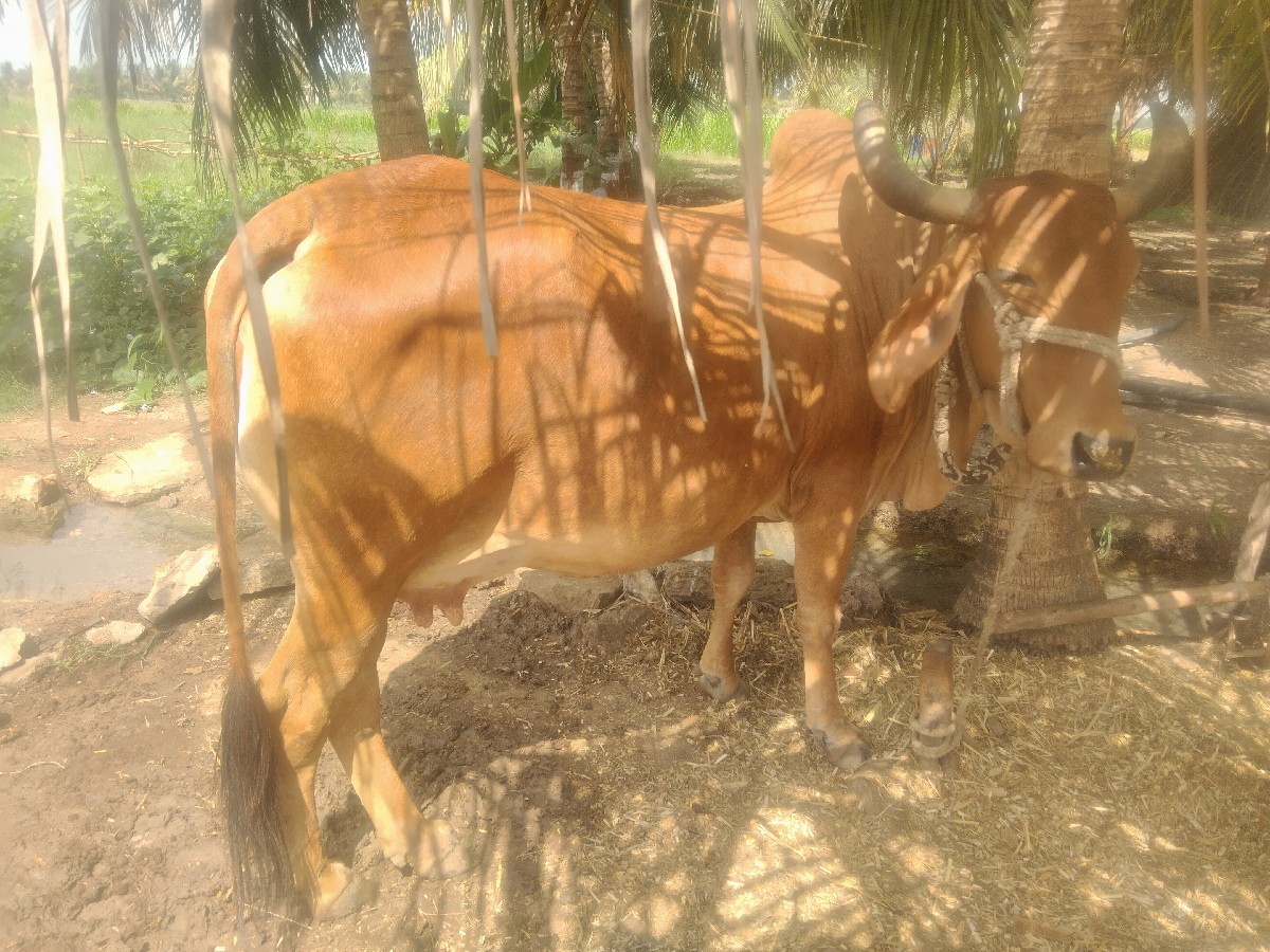 Post Image 2