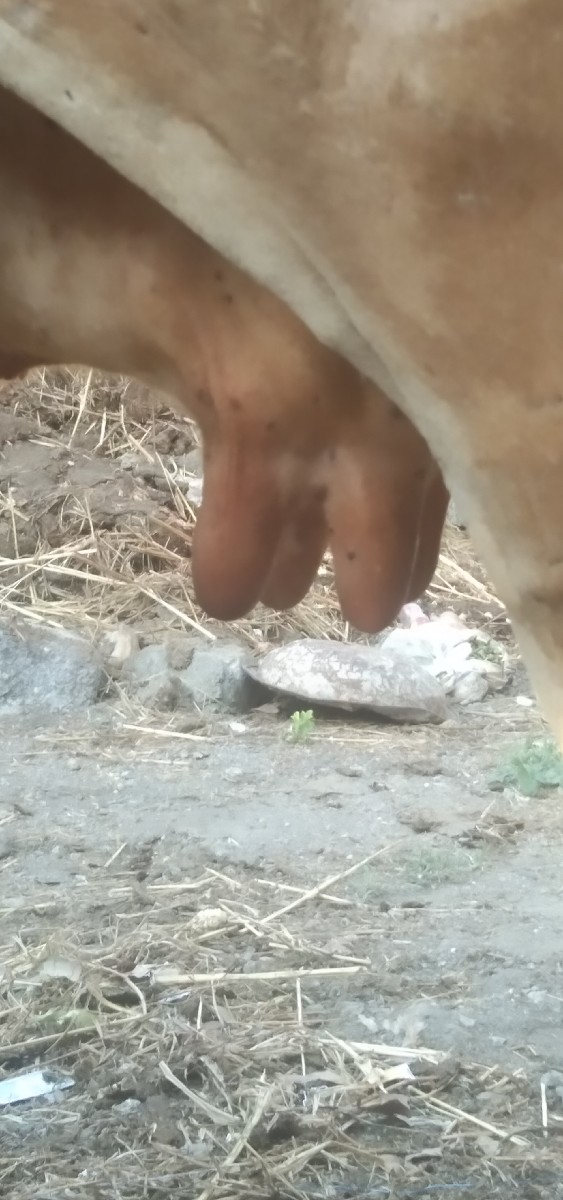 Post Image 3