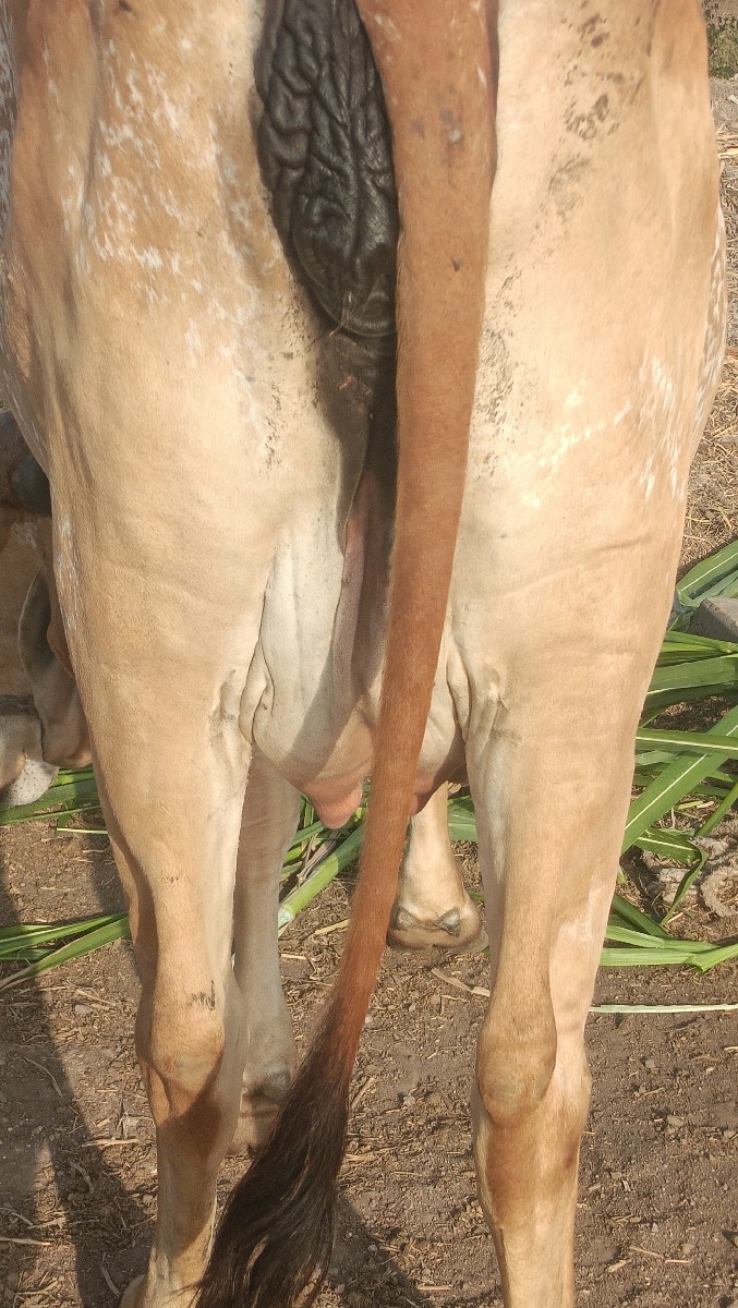 Post Image 6