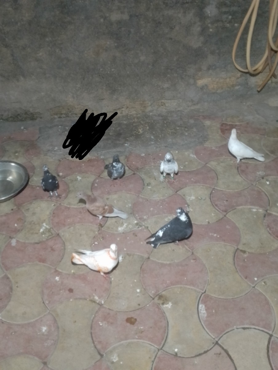 Post Image 3