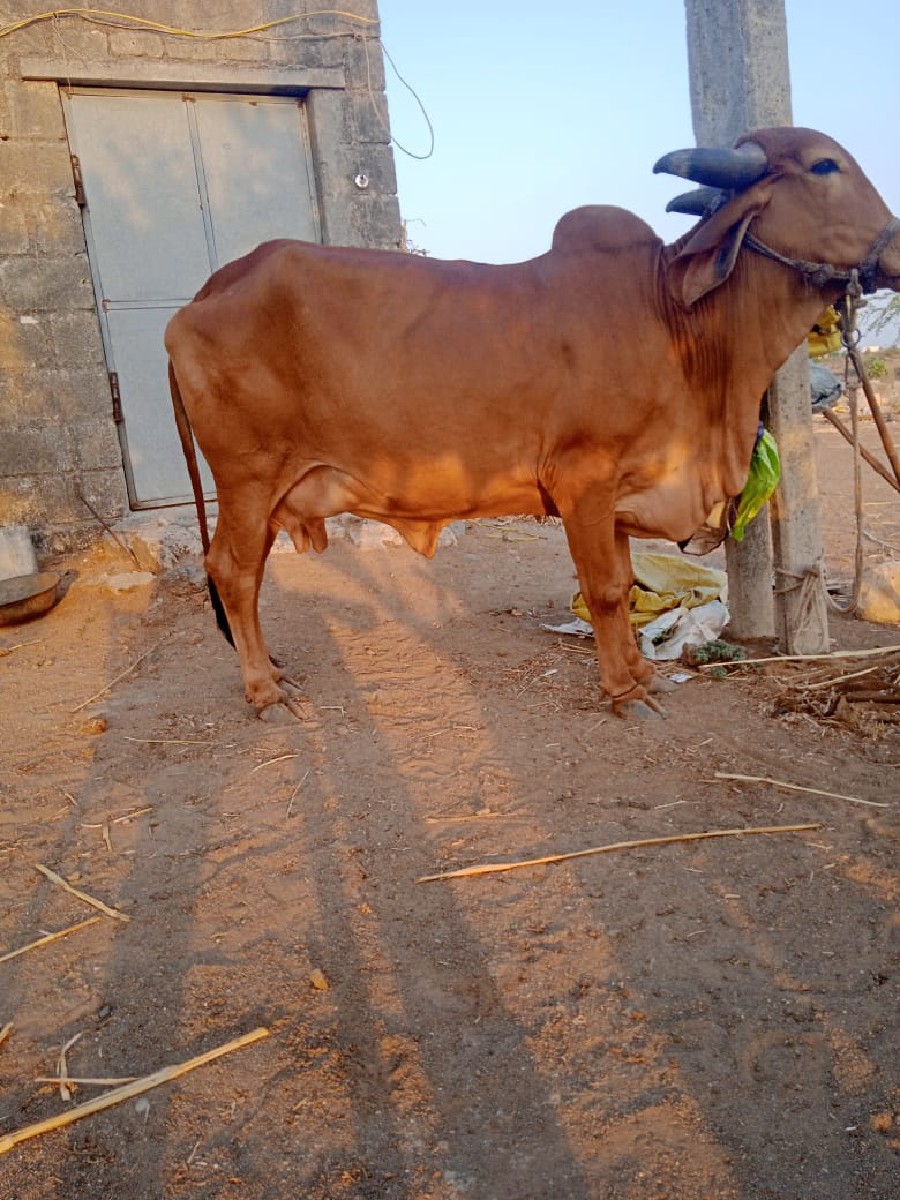 Post Image 3