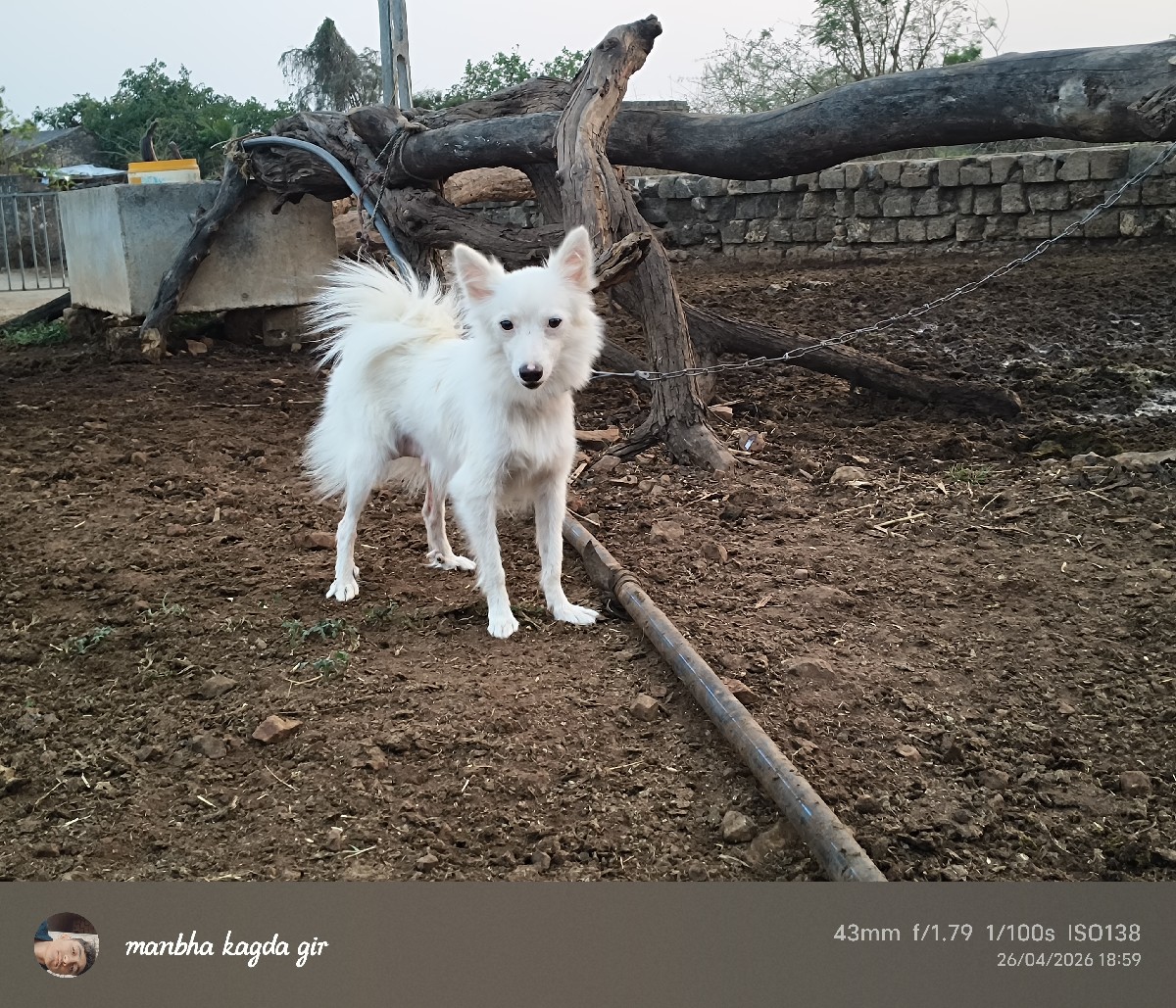 Post Image 2