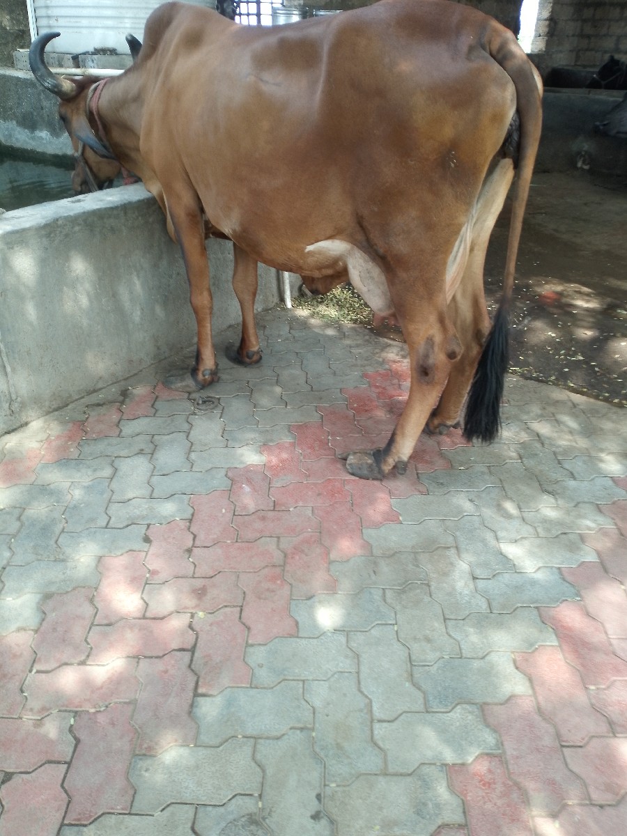 Post Image 4