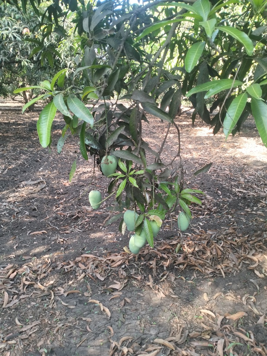 Post Image 3
