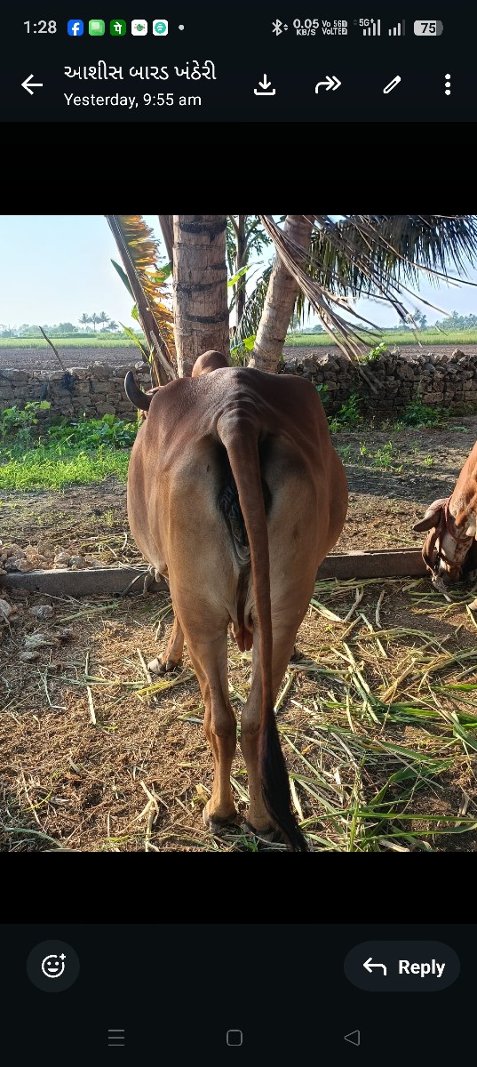 Post Image 3