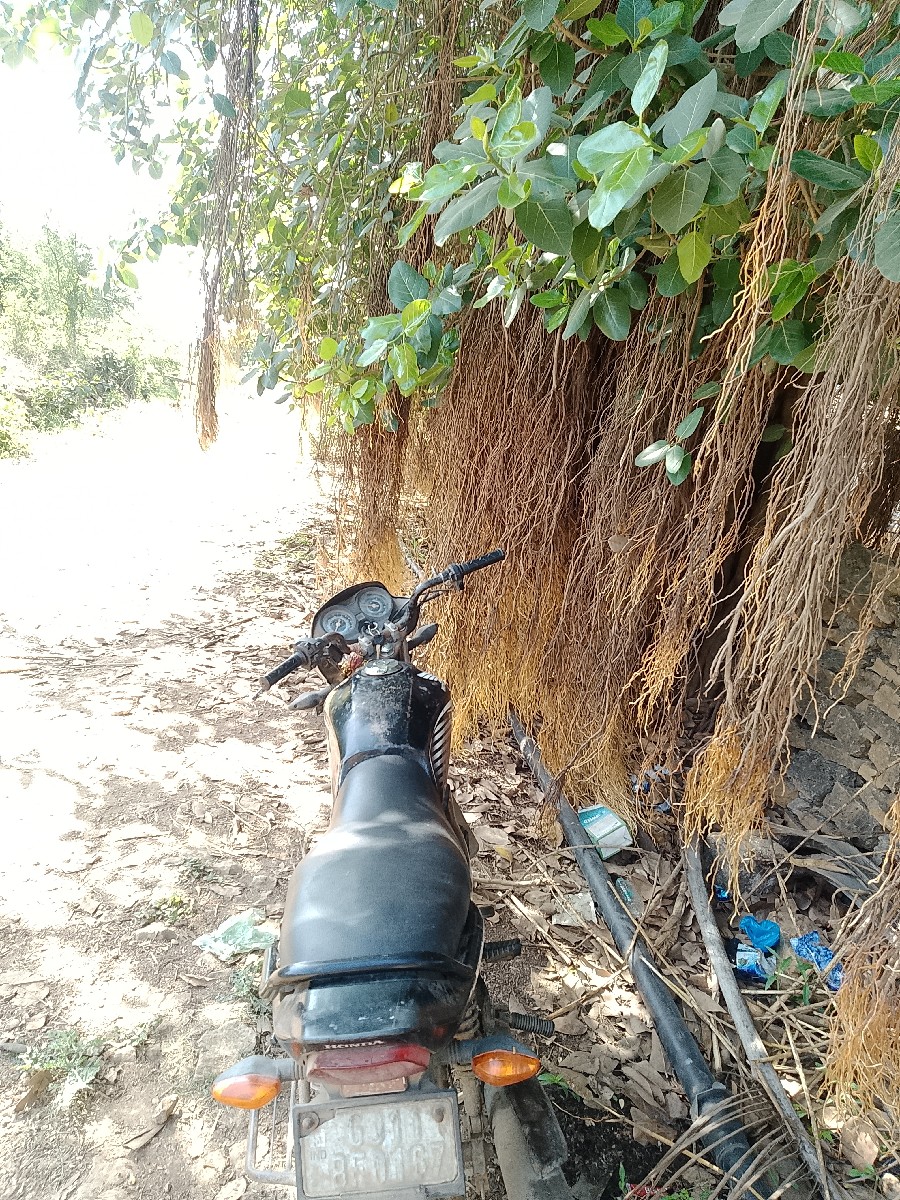 Post Image 2