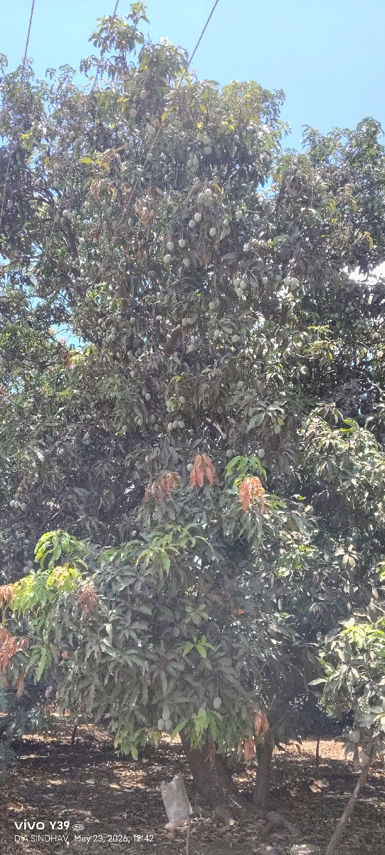 Post Image 3