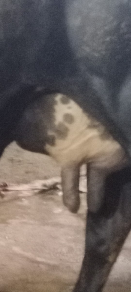 Post Image 1