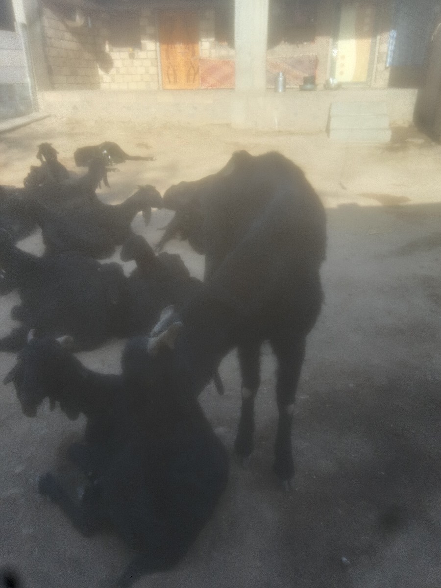 Post Image 2