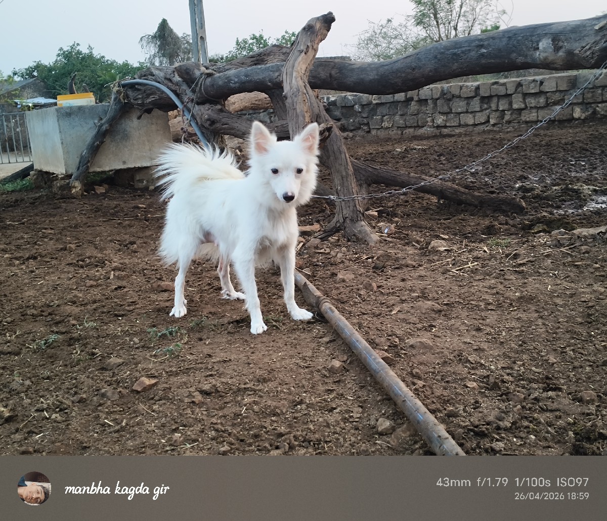 Post Image 3