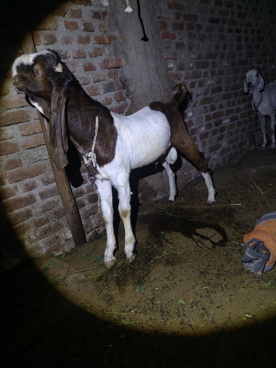 Post Image 2